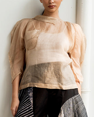 Sheer Silk Top (Beige)